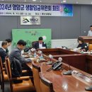 731 이미지
