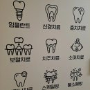 리스테린 토탈케어플러스 우리집 구강건강 지킴이 가글 사용후기