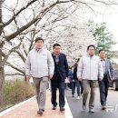 벚꽃길 이미지