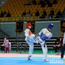 태백강원태권도체육관 이미지