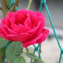 서기묘소 및 신도비 이미지