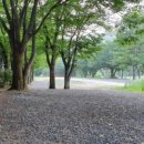 기산골캠핑장 네이버블로그