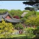 수원-1485 이미지