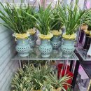 초원꽃집 이미지