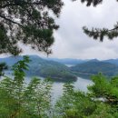 이노센스