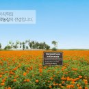 (주)아이세이프