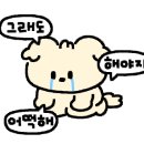 스킨호프 이미지