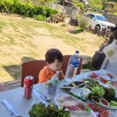 한예술유치원 이미지