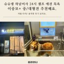하남 미사 24시 애견 셀프 목욕 슈슈댕! 이중모&amp;중대형견 추천해요!
