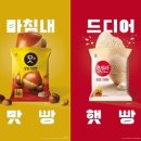 햇빵 이미지