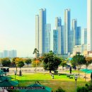 일산 미용실 || 준오헤어 가든원마운트점 : 만족스러운 경민쌤의 전체 톤다운염색🤎