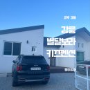 [2박3일] 강릉 별달보라펜션 방문 &amp; 자세한 후기- 둥이 42개월