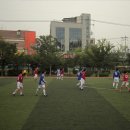 공도 대림동산 축구장 이미지