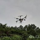 보령항공