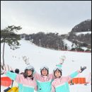 길 헤매고도 만족한 이유! 지산리조트 테라스스키 렌탈샵 완전 추천