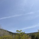 순천 나무숲 | 순천 아이랑 가볼만한 곳｜기적의 놀이터 ‘올라 올라’ + 유아 숲체험장 후기 (5세, 초등 저학년 추천)