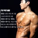 짐슈타인 이미지