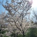 응암근린공원 이미지