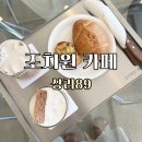 조치원대형카페 반려견 동반 가능 감성카페 상리89 솔직 방문후기