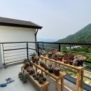 양평썬부동산공인중개사사무소 이미지