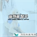 슬개골탈구 수술/강아지슬개골탈구수술/정관착한동물병원/정관슬개골수술/기장슬개골수술/양산슬개골...