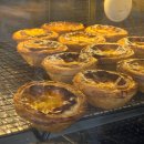 데이롱 카페 안양명학점 | 명학역 디저트 맛집 에그마카슈 안양점, 선물하기 좋은 에그타르트 6구 후기
