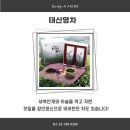 새벽전람