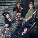 위너아이스 이미지
