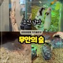 세븐일레븐 무안남악모아점 | 무안 남악 아이와 가볼만한곳 무안의숲 동물교감 먹이주기체험 실내 방문 솔직 후기