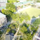 월계초교 이미지