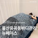 뉴페이스 - 태백시 대학길 78 | 울산 유곡동 피부관리 뉴페이스 하체 바디관리 솔직 후기