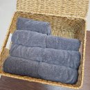 모나코 | 제주 서귀포 모나코풀펜션 후기｜제주온수풀·개별자쿠지 있는 제주펜션