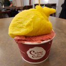 프라하 | 동유럽 체코 프라하여행 맛집 후기정리