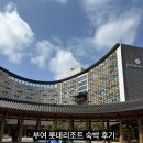 부여 롯데리조트 콘도형 스위트 트윈룸 숙박 후기와 부대 시설 안내 (4,5세 아이와 함께)