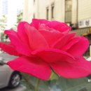 성당우방아파트 이미지