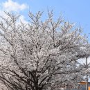 금호강5 이미지