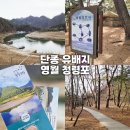 천수한양관광(주) | 단종 유배지 영월 청령포 | 영화 「왕과 사는 남자」 촬영지 직접 다녀온 후기