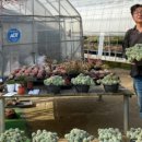 환성농장 이미지