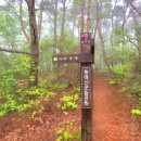 황매산식당 이미지