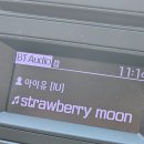 조성권농장 이미지