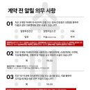 소미실비