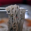 백촌막국수 Daum카페