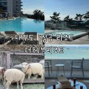더 프리즘 펜션 | 대부도 숙소 추천, 더헤븐리조트 스위트룸에서 가족 힐링하기(프리즘 예약)