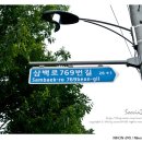삼백로 이미지