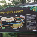 태학산자연휴양림오토캠핑장 이미지