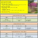 4월 18일. 한국의 탄생화와 부부 사랑 / 박태기나무 등 개화기의 콩과 식물 이미지