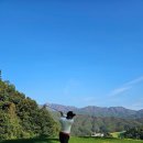 포레스트 골프연습장 이미지