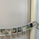 멍캐슬 | 나주 혁신도시 애견카페 애견호텔 멍캐슬 호텔링 3시간 후기
