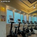 토니바디W 이미지