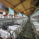 김문수농장 이미지